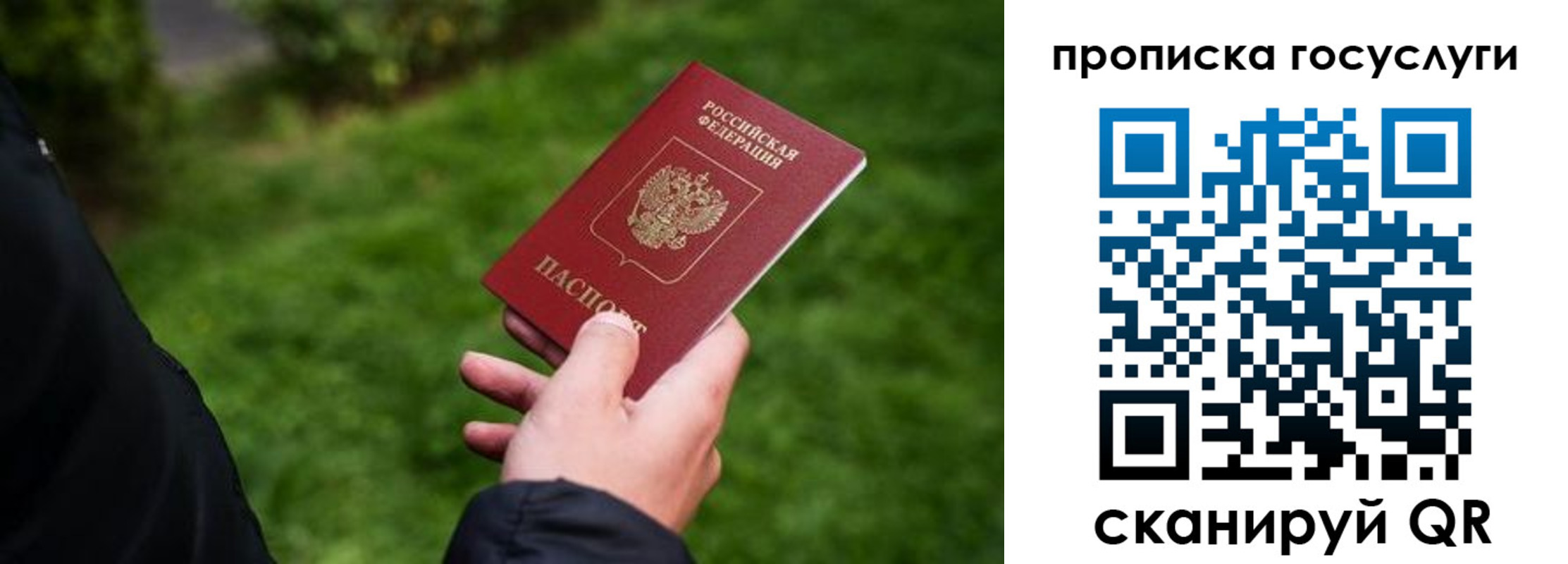 прописка для работы в Кольчугино